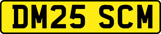 DM25SCM