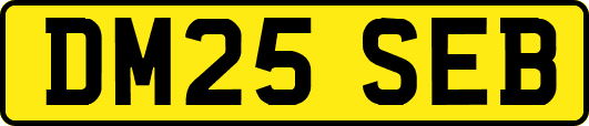 DM25SEB