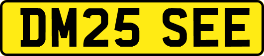 DM25SEE