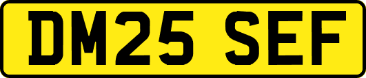 DM25SEF