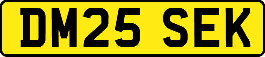 DM25SEK