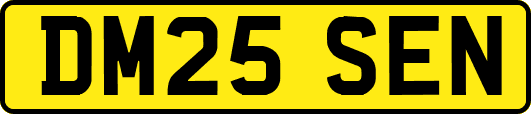 DM25SEN