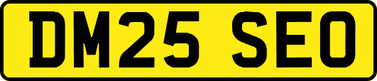 DM25SEO
