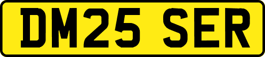 DM25SER