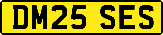 DM25SES
