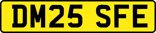DM25SFE