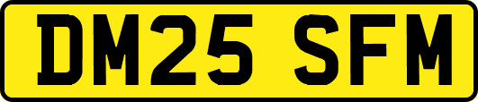 DM25SFM