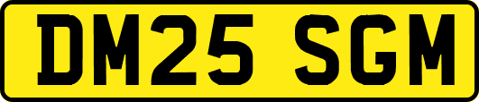 DM25SGM