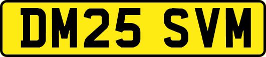 DM25SVM