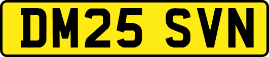 DM25SVN