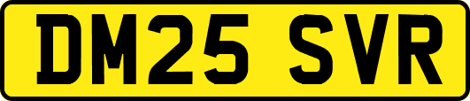 DM25SVR