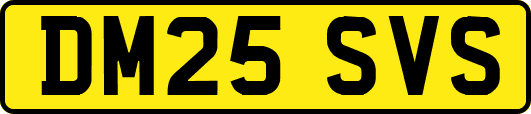 DM25SVS