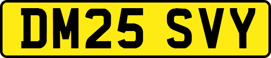 DM25SVY