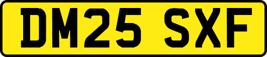 DM25SXF