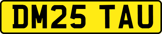DM25TAU