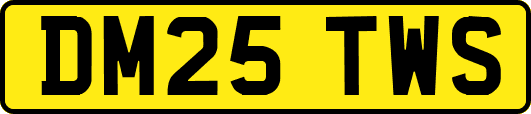DM25TWS
