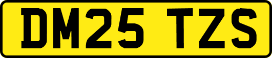 DM25TZS