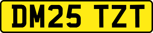 DM25TZT
