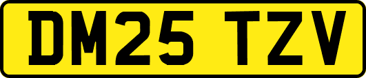 DM25TZV