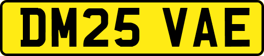 DM25VAE