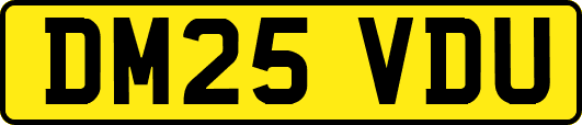 DM25VDU