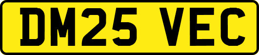DM25VEC
