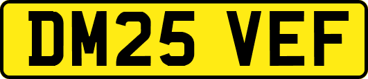 DM25VEF