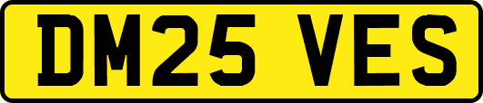 DM25VES
