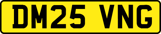 DM25VNG