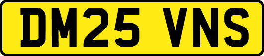 DM25VNS