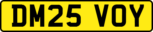 DM25VOY