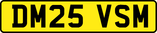 DM25VSM