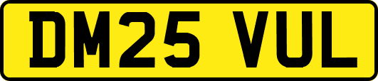 DM25VUL