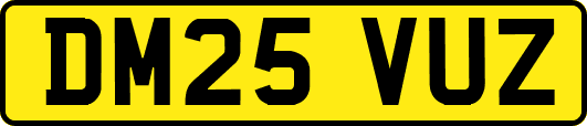 DM25VUZ