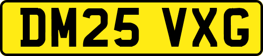 DM25VXG
