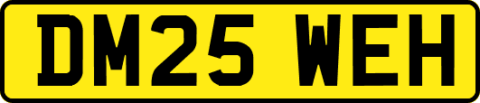 DM25WEH