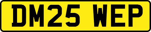 DM25WEP