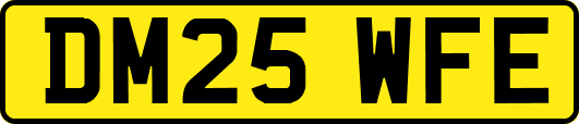 DM25WFE