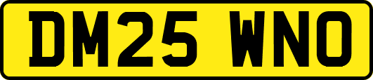 DM25WNO