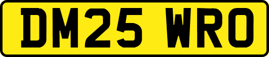 DM25WRO