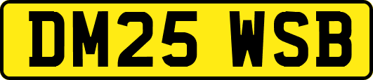 DM25WSB