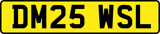 DM25WSL