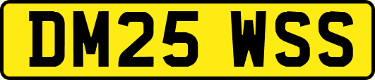 DM25WSS