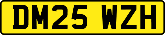 DM25WZH