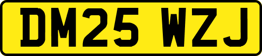 DM25WZJ