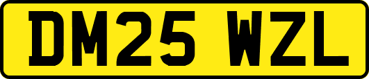 DM25WZL