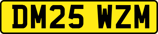 DM25WZM