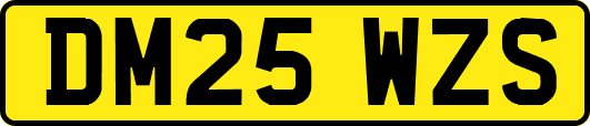 DM25WZS