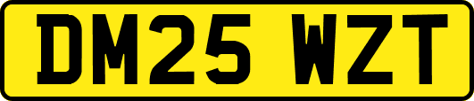 DM25WZT