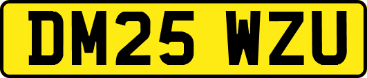 DM25WZU